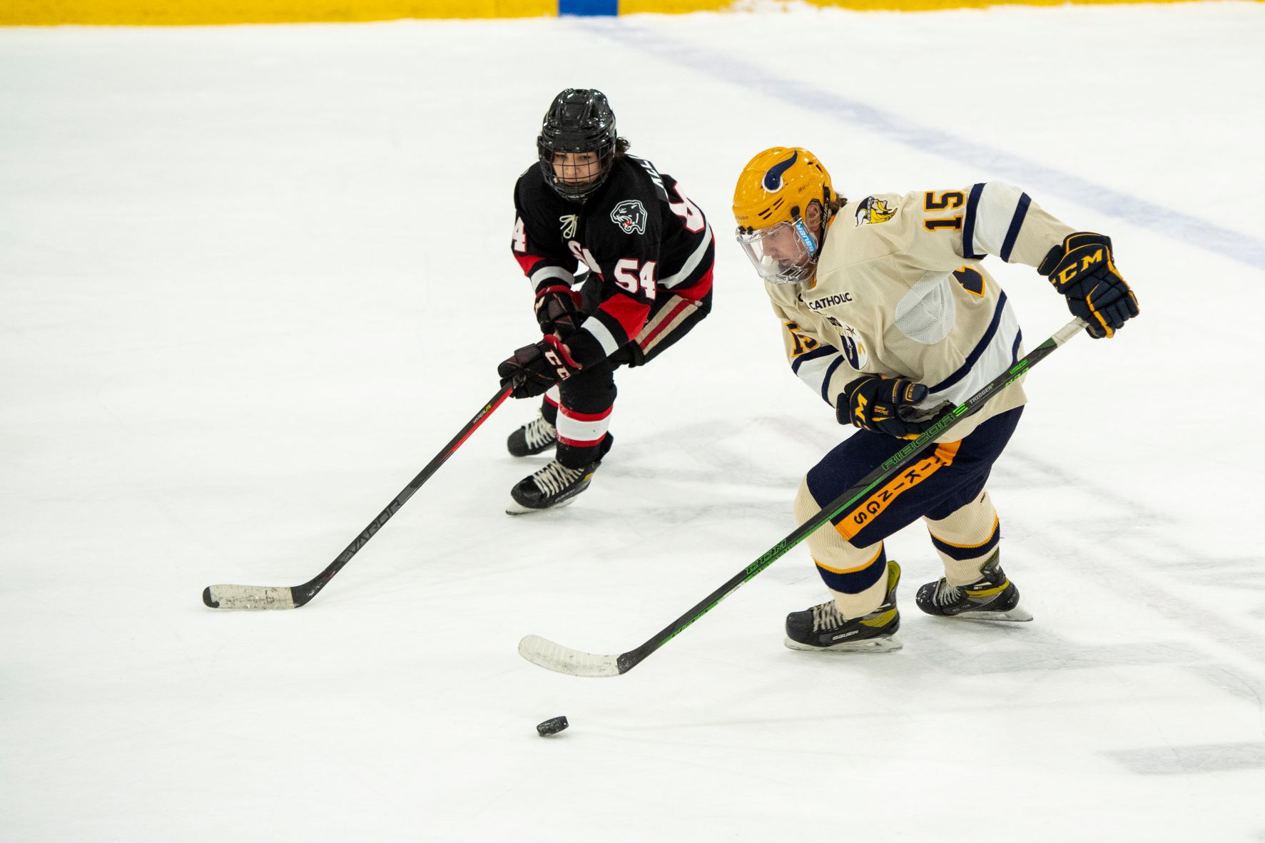 Professional Hockey Team in Central PA